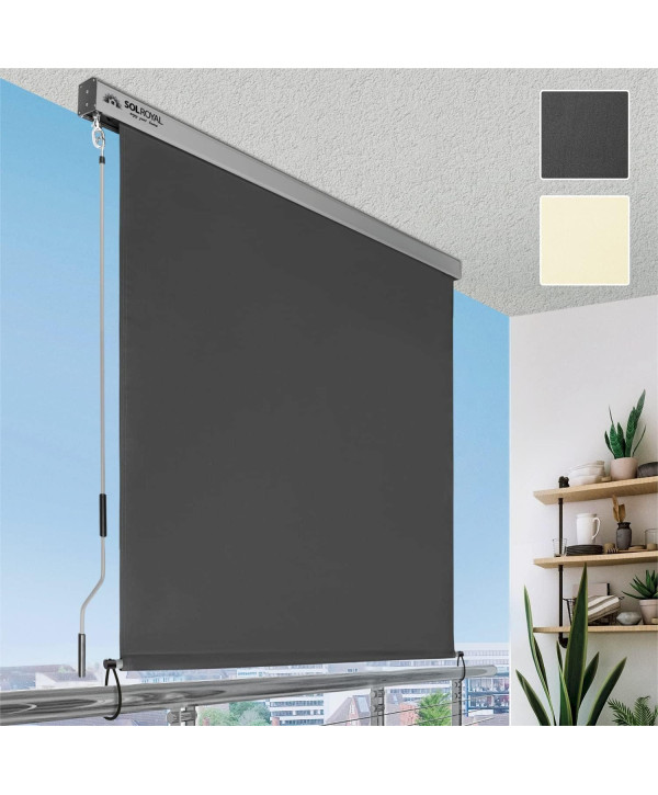 Store extérieur vertical avec manivelle 180x250cm anthracite